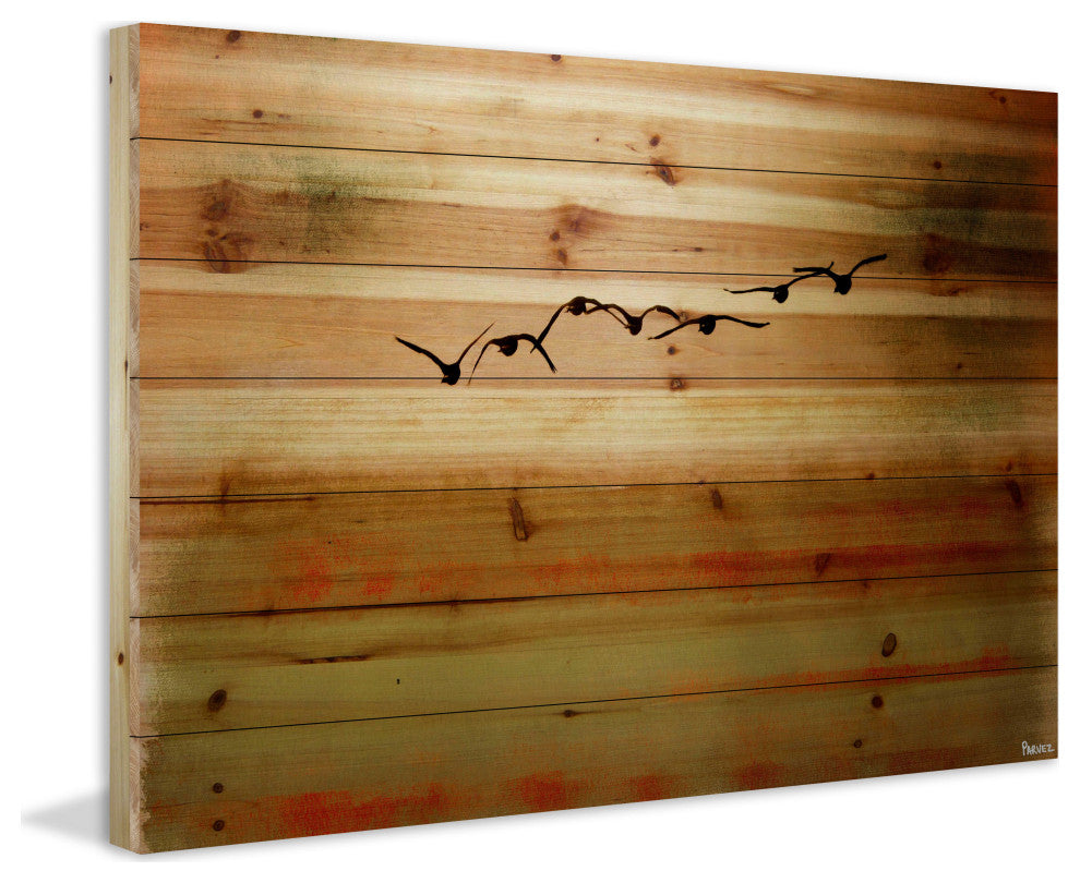 "Sun Flight" UV Ink Print on Natural Pine Wood, 60"x40"