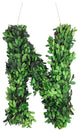 Modern Home 12" Real Preserved Boxwood Monogram Wreath Letters - N