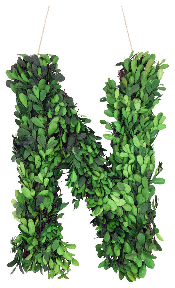 Modern Home 12" Real Preserved Boxwood Monogram Wreath Letters - N