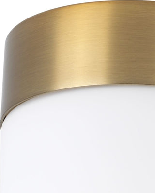Elevate Collection 1-Light Mini-Pendant, Brushed Bronze