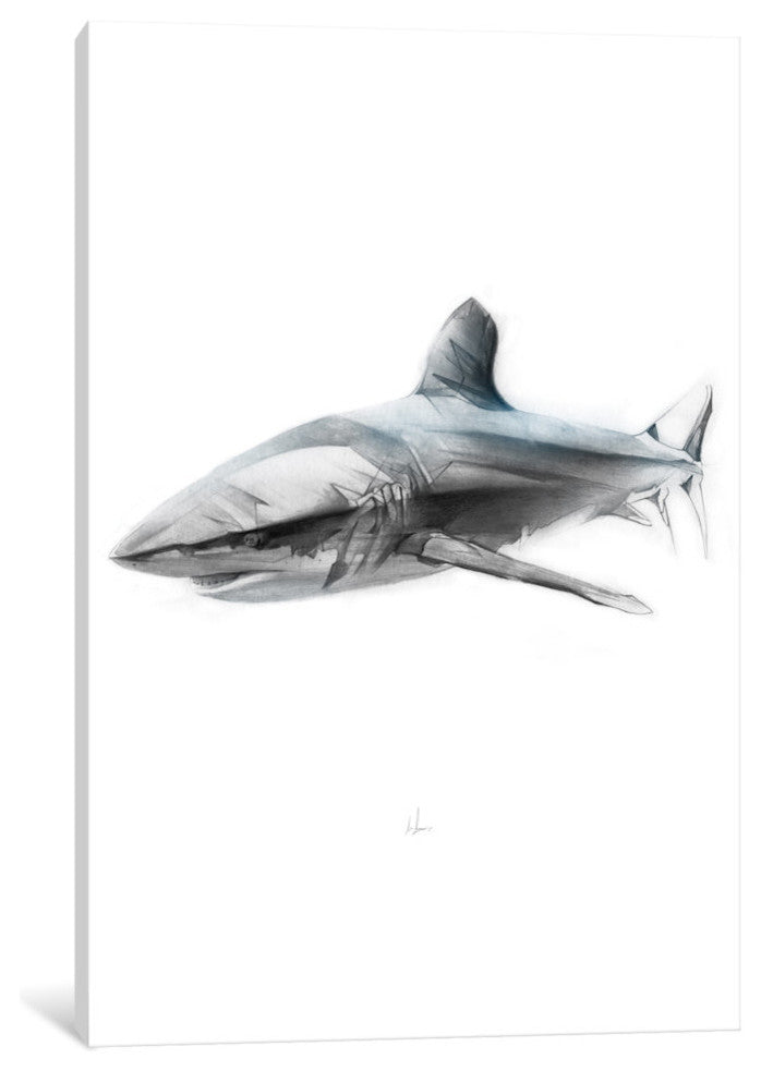 "Shark I" by Alexis Marcou, Canvas Print, 18"x12"