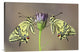 "Symmetry" Stretched Canvas Giclee by Jimmy Hoffman, 30"x20"