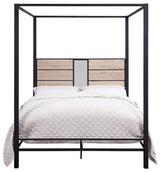 Valeria Canopy Platform Bed