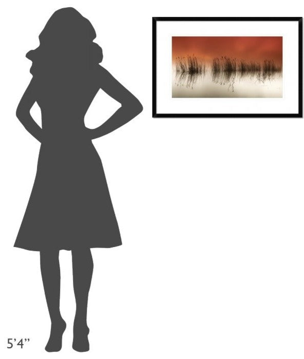 "Serenity" Framed Digital Print by Rui David, 30"x20"