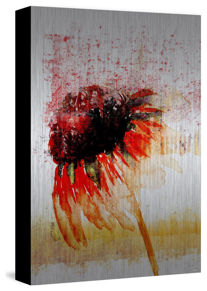 "Flower 4" UV Ink Print on Brushed  Aluminum, 30"x45"
