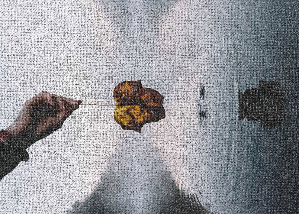 Meditation And Calming Moments 93 Area Rug, 5'0"x7'0"