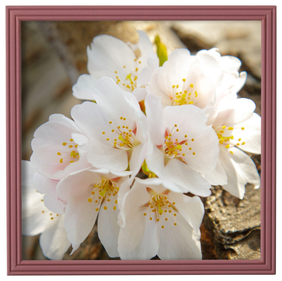 Sweet Simplicity Rustic Frame, Rose