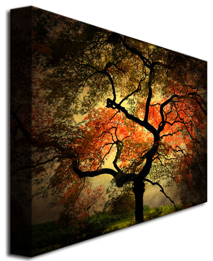 'Japanese' Canvas Art by Philippe Sainte-Laudy