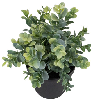 10" Green Artificial Melia Azedarach Plant in Black Pot