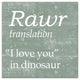 Rawr Translation 12x12 Canvas Wall Art