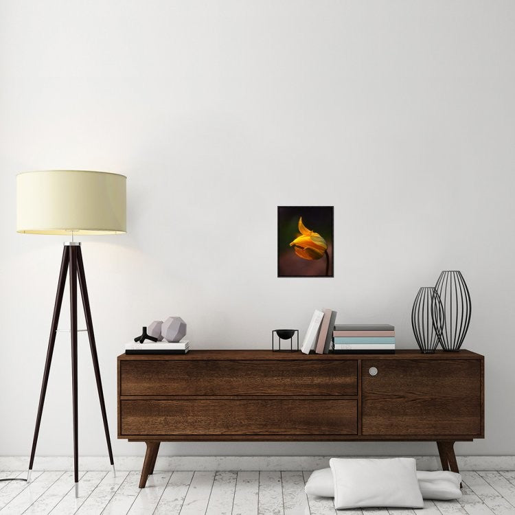 "Shine" Framed Canvas Giclee by Kent Mathiesen, 13x17"