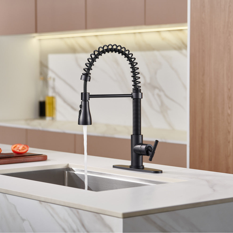 Single Handle Kitchen Sink Faucet Pull-Down Sprayer, 360 Swivel, 3 Functions, Matte Black