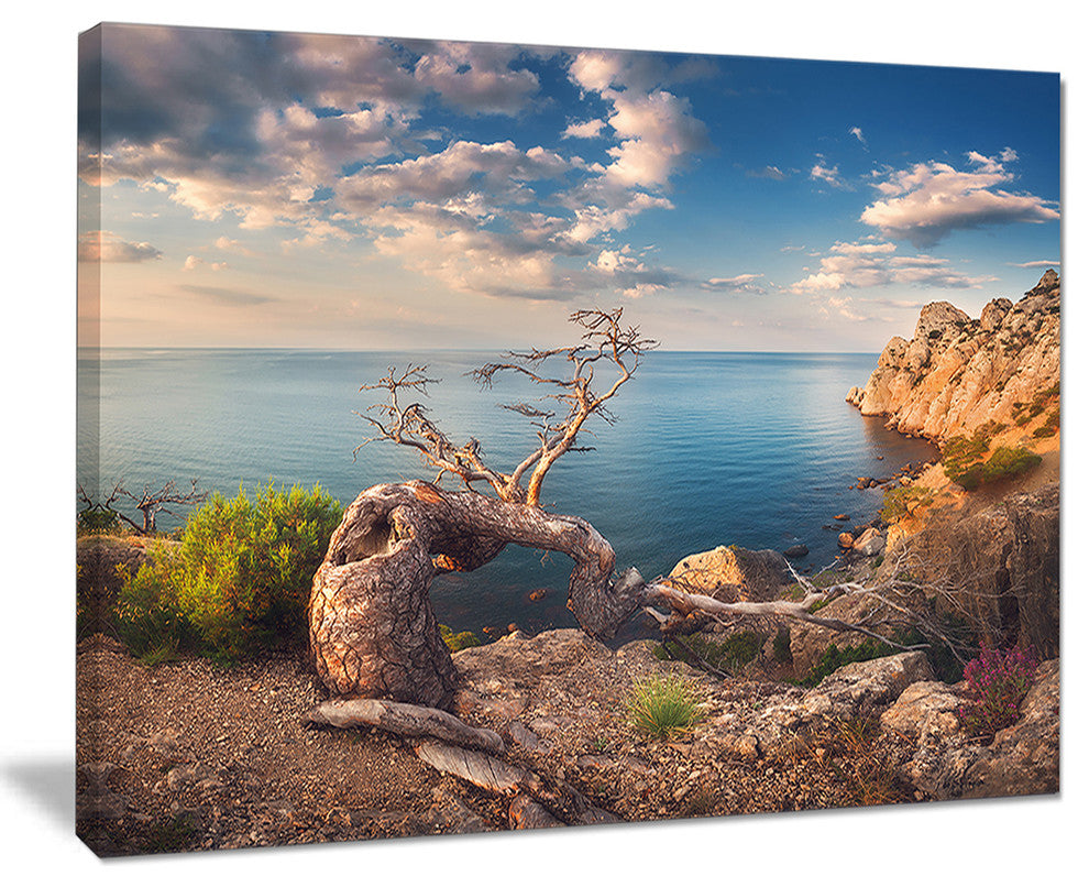 "Sunny Morning With Old Tree" Seashore Canvas Photo Print, 40"x30"