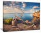 "Sunny Morning With Old Tree" Seashore Canvas Photo Print, 40"x30"
