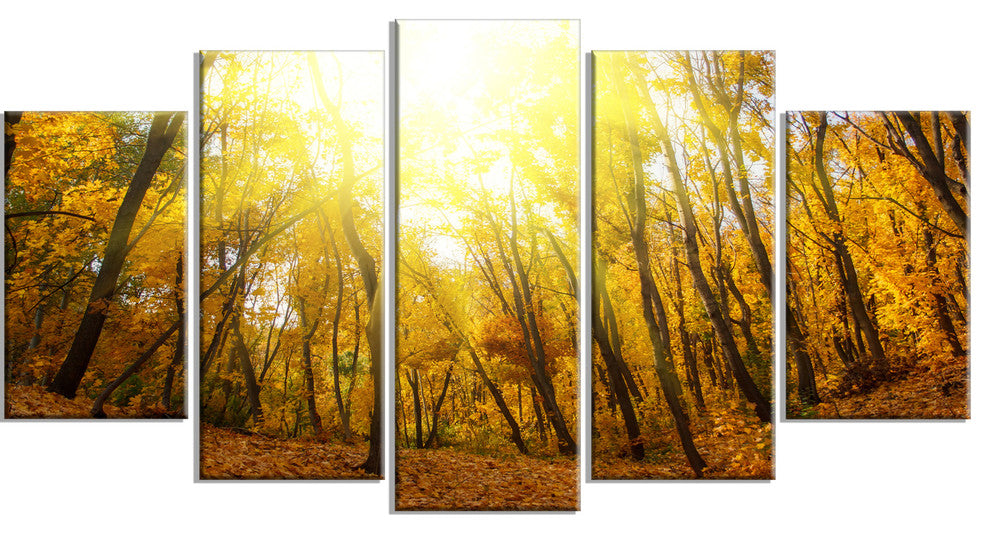 Yellow Autumn Forest in Sunlight, Forest Canvas Art Print, 60"x32", 5 Panels