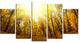 Yellow Autumn Forest in Sunlight, Forest Canvas Art Print, 60"x32", 5 Panels