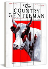 "CG Bull" Painting Print on White Wood