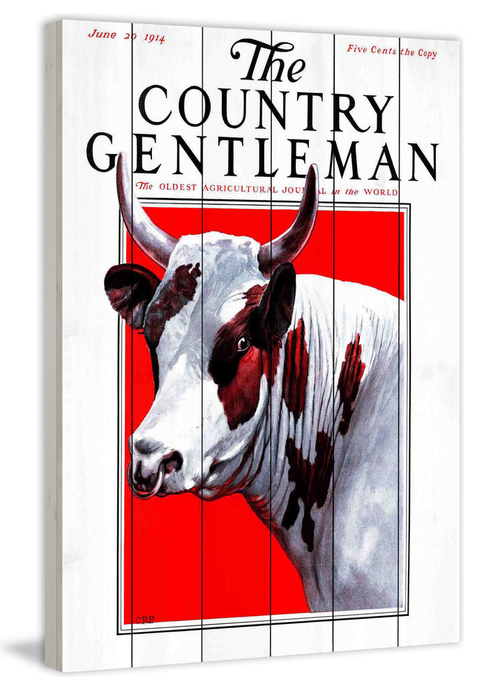 "CG Bull" Painting Print on White Wood