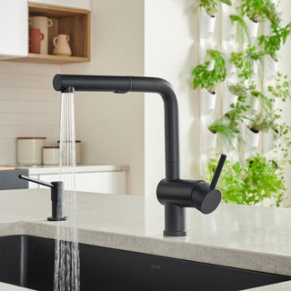 Blanco Linus Pull Out 1.5 GPM in Anthracite