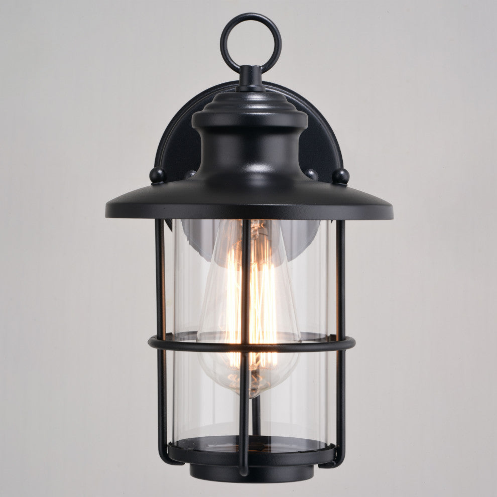 Lake Shore Steel 1 Light Black Coastal Outdoor Wall Lantern Clear Glass