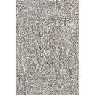 Nuloom Braided Lefebvre Indoor/Outdoor Area Rug, Salt And Pepper 8'x11'