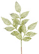 Vickerman L190513 22" Lime Glitter Bay Leaf Lace Artificial Christmas Spray