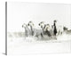 "White Water" Wrapped Canvas Art Print, 24"x18"x1.5"