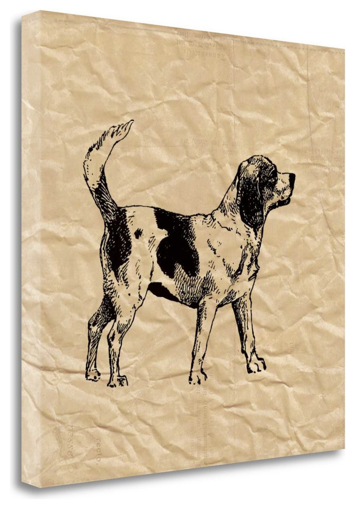 "Beagle" By Sabine Berg, Giclee Print on Gallery Wrap Canvas, Ready to Hang