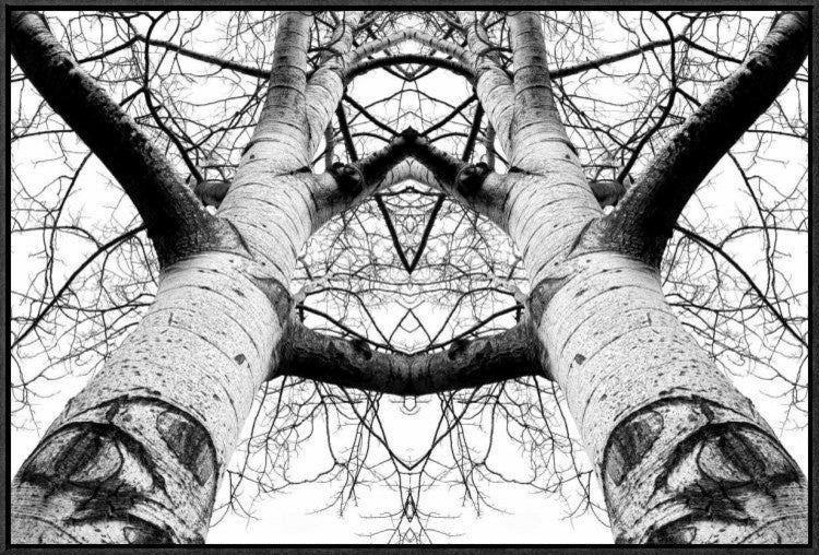 "Aspen Cathedral" Framed Canvas Giclee by James K. Papp, 31x21"