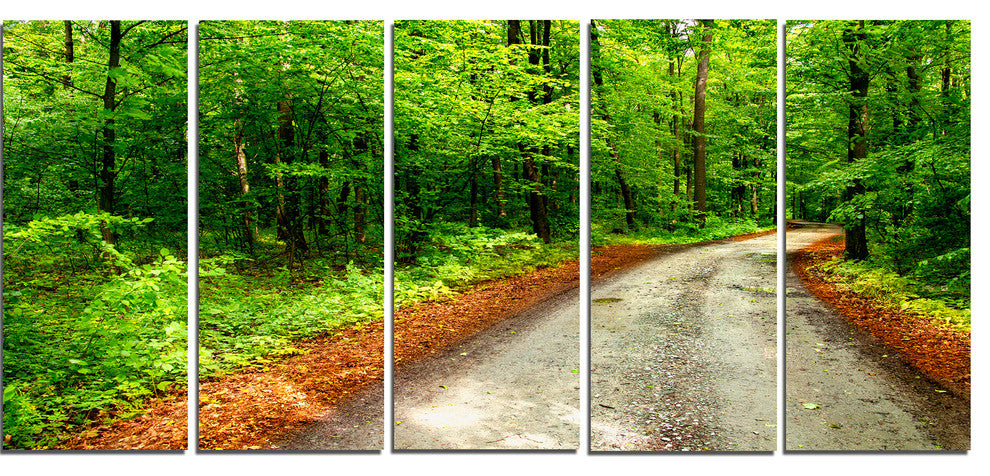"Pathway in Deep Moss Forest" Landscape Art Print Canvas, 5 Panels, 60"x28"