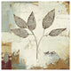 "Silver Leaves III" Digital Paper Print by James Wiens, 38"x38"