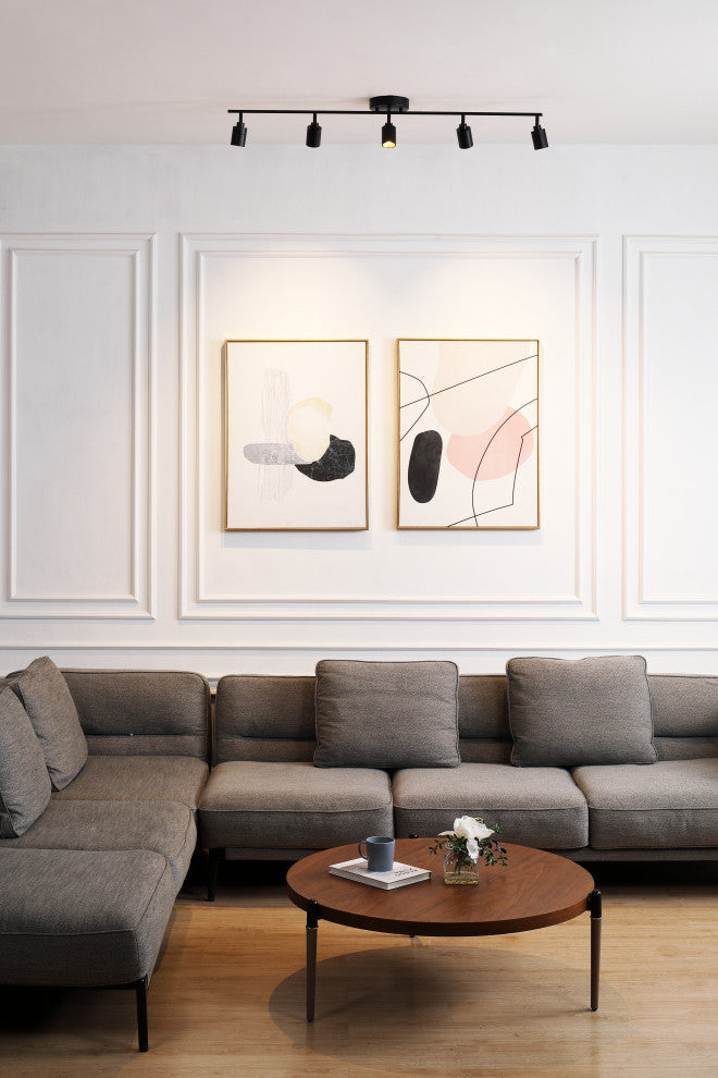 VidaLite Shura 5 Head LED Track Light, Black