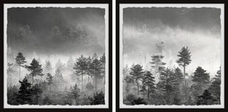 The Forest Spoke Diptych, 2-Piece Set, 24x24 Panels
