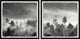 The Forest Spoke Diptych, 2-Piece Set, 24x24 Panels
