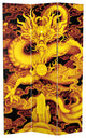 6' Tall Dragon Fire on the Mountain Double Sided Room Divider