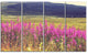 Purple Flowers in Mountain Pasture, Floral Canvas Art Print, 48"x28", 4 Panels