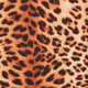 Pillow Decor - Kitsui Leopard Throw Pillow 20x20