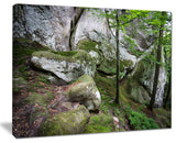 "Deep Moss Forest With Rocks" Landscape Art Print Canvas, 40"x30"
