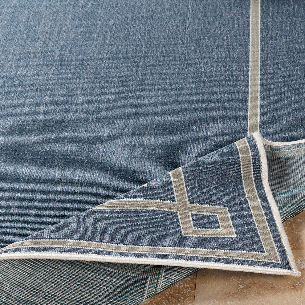 Alfresco Transitional Charcoal, Taupe Area Rug, 2'3"x11'9" Runner