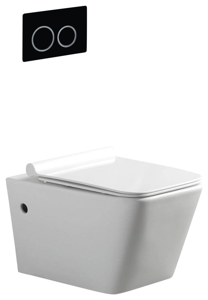 In-Wall Toilet Set, 2"x6" Carrier and Tank, Black Round Actuators