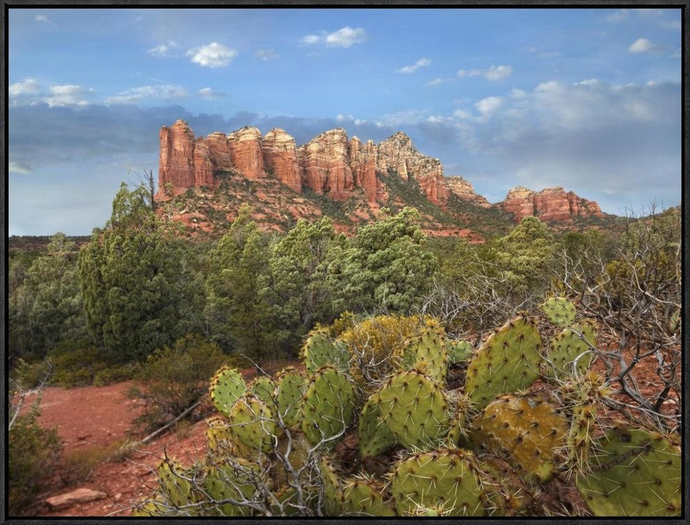 "Coffee Pot Rock near Sedona, Arizona"  by Tim Fitzharris, 33x25"