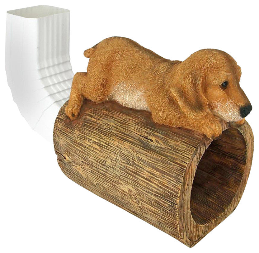 Golden Retriever On Log Rain Gutter