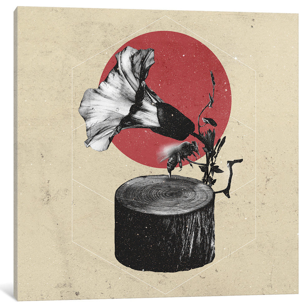"Gramophone" by Ali Gulec, Canvas Print, 12"x12"