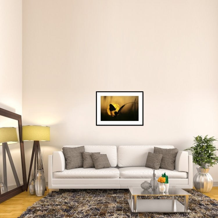 "August" Framed Digital Print by Janini (Zhana Topchieva), 38"x28"