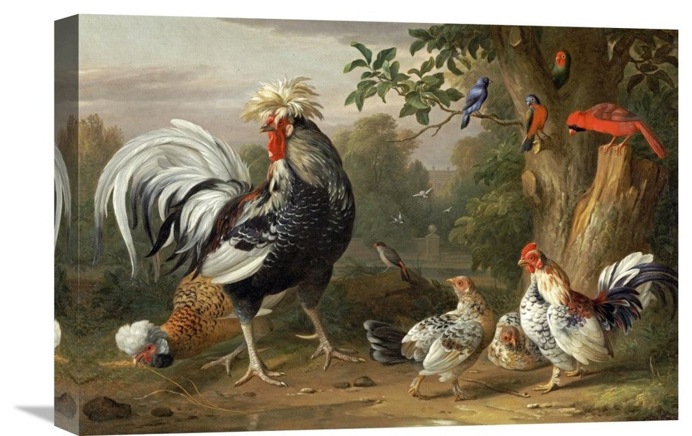"Poultry and Other Birds In The Garden of a Mansion" Artwork
