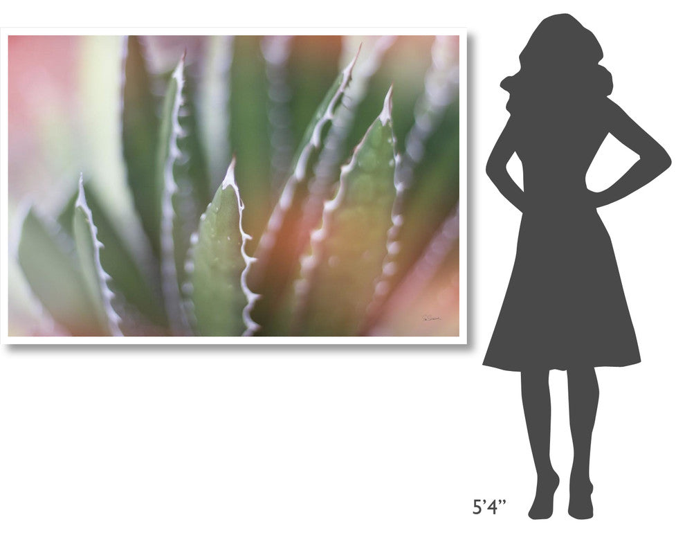"Dream Desert IV" Digital Paper Print by Sue Schlabach, 62"x42"