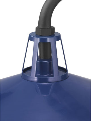 Cedar Springs Collection 1-Light Extra Large Wall Lantern, Navy