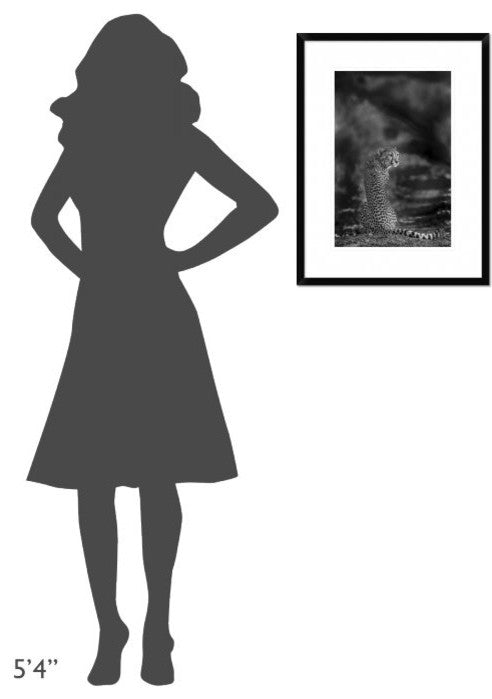 "The Look Back" Framed Digital Print by Jaco Marx, 20"x26"