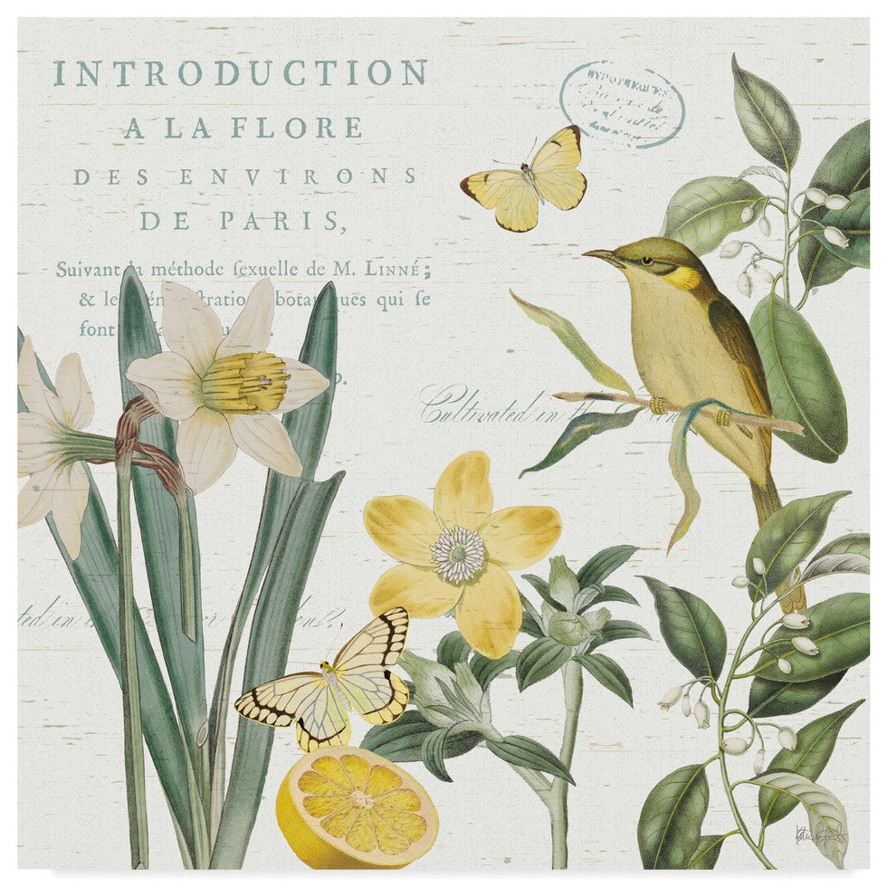 "Citron Curiosities III" by Katie Pertiet, Canvas Art, 14"x14"