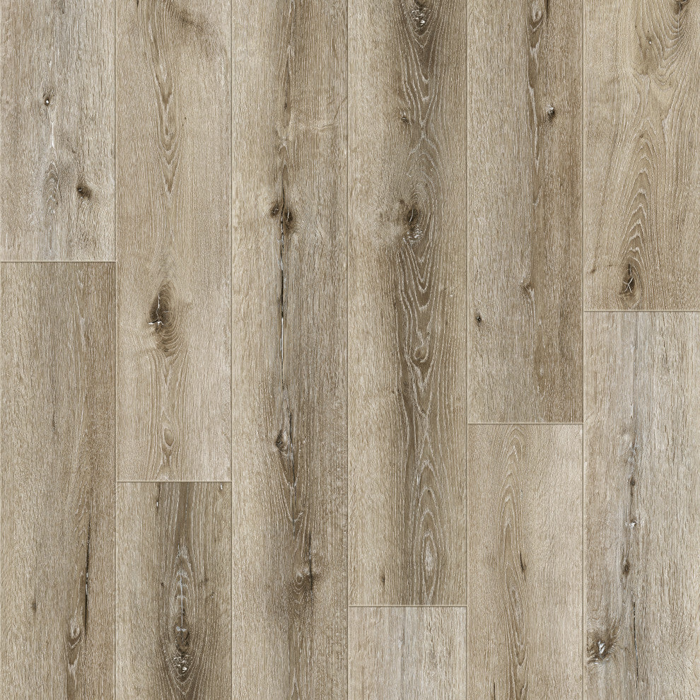Dyno Exchange, Cloud Nine Collection Laminate Floor, Sundance Resort